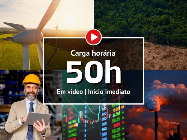Curso Online de Elaboração de Relatórios de Sustentabilidade - INBS